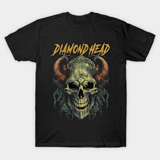 DIAMOND HEAD VTG T-Shirt